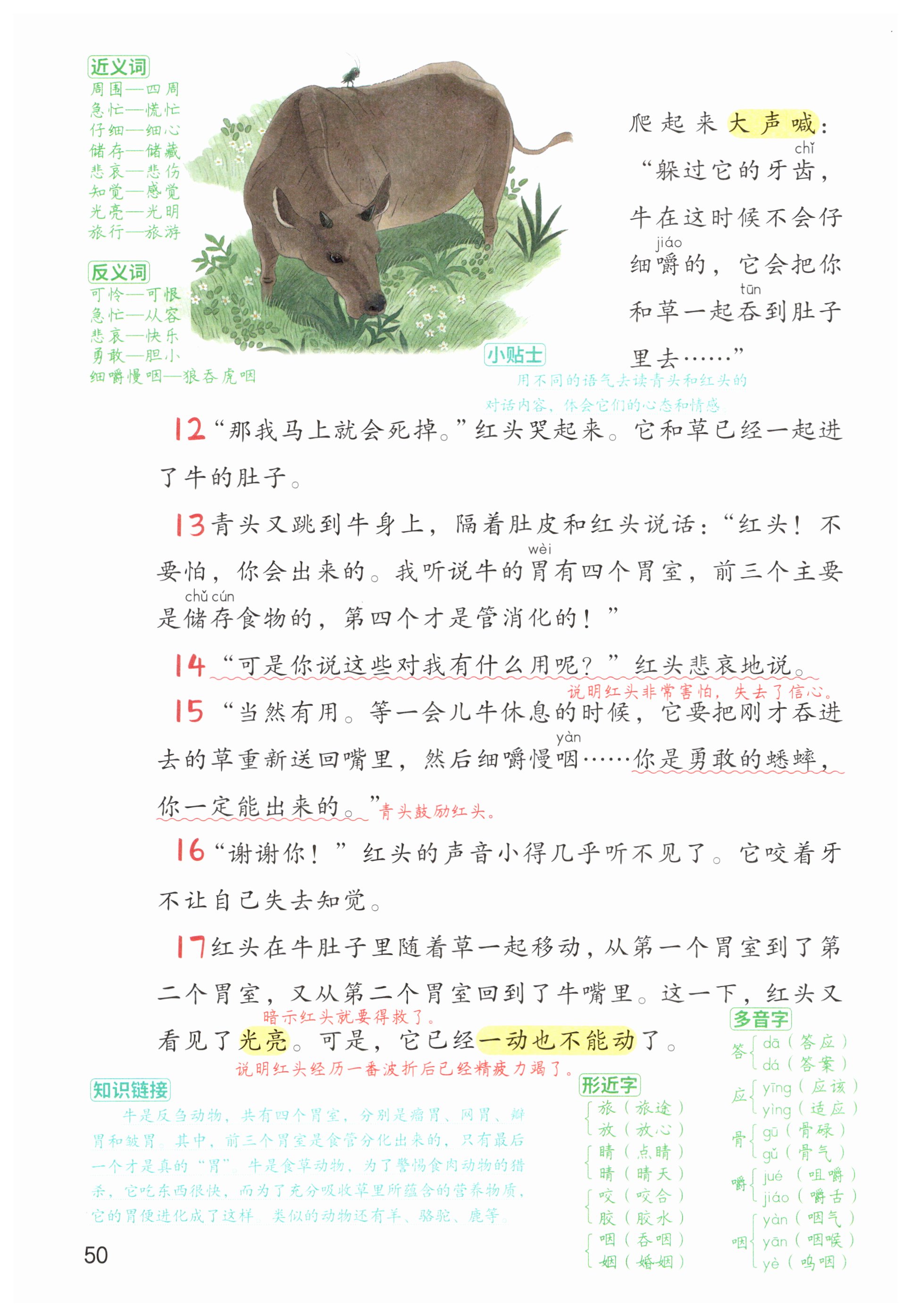 第50页