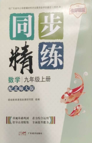 同步精练广东九年级数学北师大版