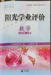 阳光学业评价九年级数学人教版