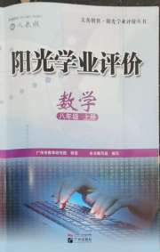 阳光学业评价八年级数学人教版
