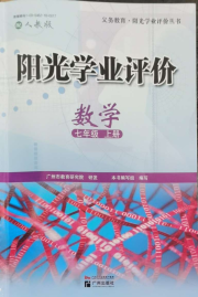 阳光学业评价七年级数学人教版