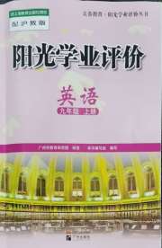 阳光学业评价九年级英语沪教版