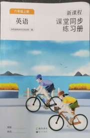 新课程课堂同步练习册六年级英语人教版