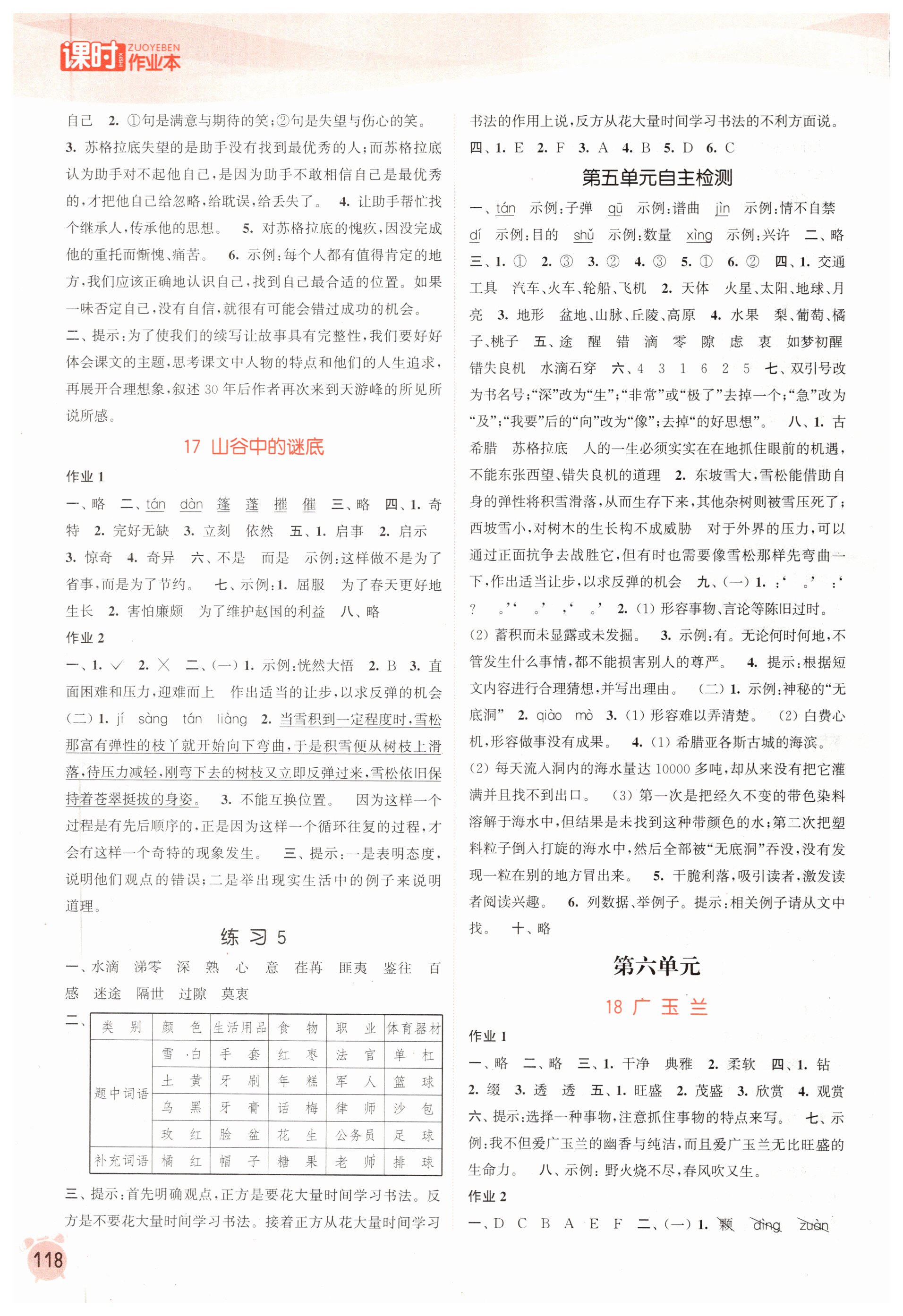 18 广玉兰 - 第8页