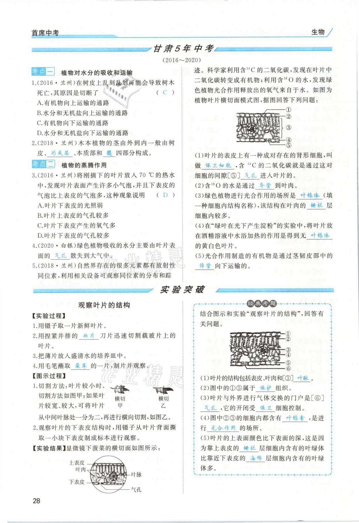 2021年首席中考生物甘肅專版&nbsp;第26頁