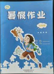 暑假作业七年级山东文艺出版社