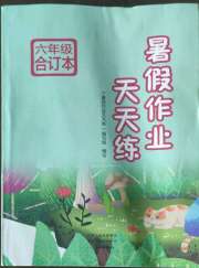暑假作业天天练六年级综合文心出版社