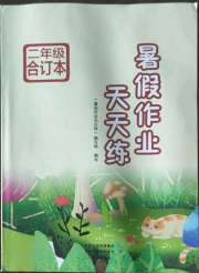 暑假作业天天练二年级文心出版社