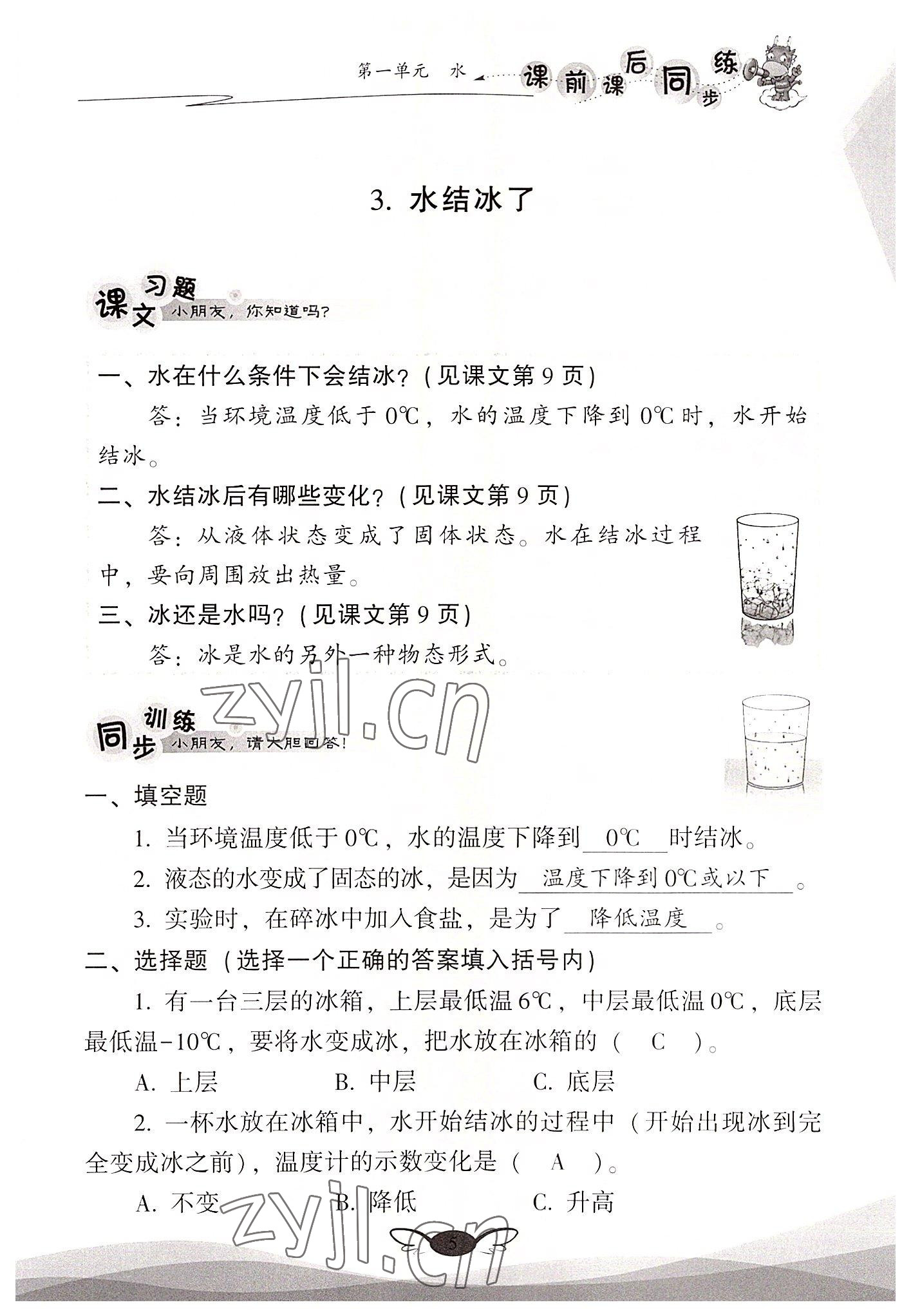 2022年课前课后同步练三年级科学上册教科版&nbsp;参考答案第5页
