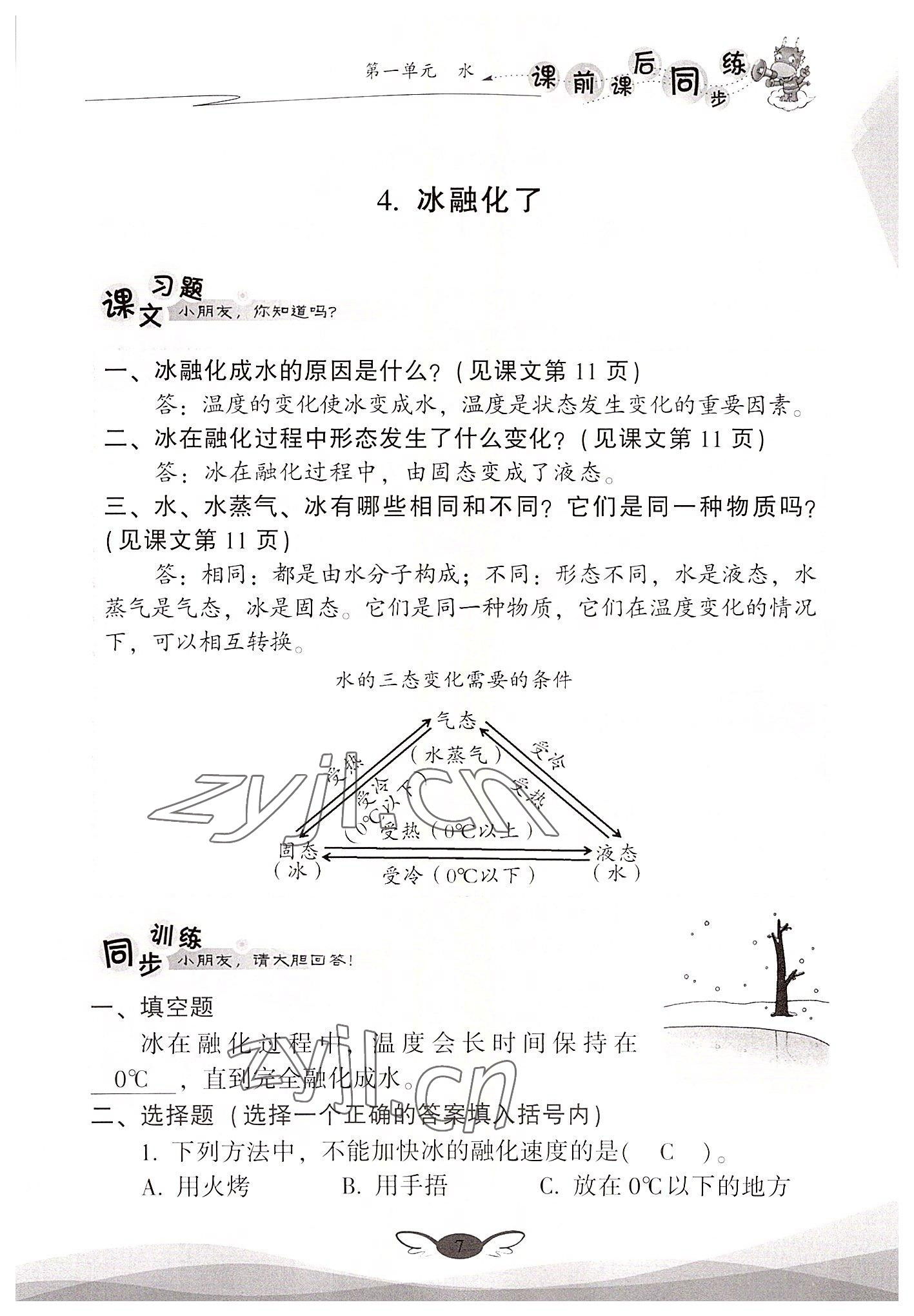 2022年课前课后同步练三年级科学上册教科版&nbsp;参考答案第7页