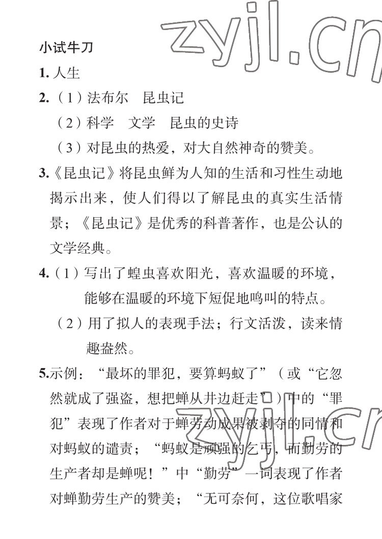 2023年七彩假日寒假生活八年级景德镇专版&nbsp;参考答案第11页