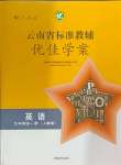 2024年云南省標準教輔優(yōu)佳學案九年級英語全一冊人教版