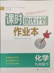 2025年課時(shí)提優(yōu)計(jì)劃作業(yè)本九年級(jí)化學(xué)下冊(cè)人教版