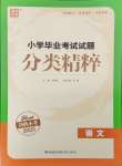 2025年通城學(xué)典小學(xué)畢業(yè)考試試題分類精粹語文