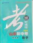 2025年考出好成績中考總復習數(shù)學山東專版