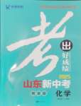 2025年考出好成績新中考化學魯教版