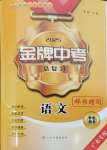 2025年金牌中考總復習語文