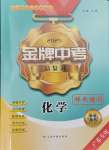 2025年金牌中考總復習化學