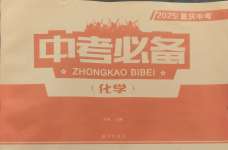 2025年中考必備南方出版社化學重慶專版