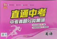 2025年神龍牛皮卷直通中考九年級英語