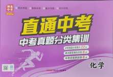 2025年神龍牛皮卷直通中考化學中考