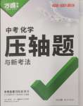 2025年萬唯中考壓軸題化學