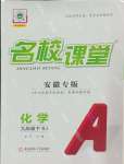 2025年名校課堂九年級(jí)化學(xué)下冊(cè)人教版安徽專(zhuān)版