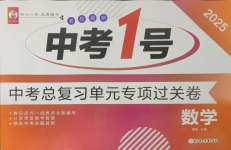 2025年中考1號中考總復習單元專項過關卷數學吉林專版