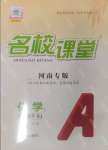 2025年名校課堂九年級化學(xué)1下冊人教版河南專版