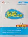 2025年領(lǐng)跑中考化學(xué)廣東專版