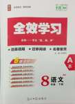 2025年全效學(xué)習(xí)課時(shí)提優(yōu)八年級(jí)語(yǔ)文下冊(cè)人教版精華版