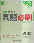 2025年中考幫真題必刷語(yǔ)文中考河南專版