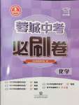 2025年蓉城中考必刷卷化學