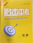 2025年追擊中考化學江西專版