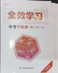 2025年全效學(xué)習(xí)中考學(xué)練測(cè)語文廣西專版