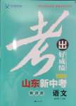 2025年考出好成绩中考总复习语文山东专版