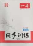 2025年一本同步訓練初中數(shù)學九年級下冊滬科版安徽專版