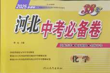 2025年38套中考必備卷化學河北專版