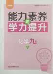 2025年能力素养与学力提升九年级化学下册人教版