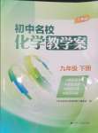 2025年初中教學(xué)案九年級化學(xué)下冊滬教版