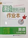 2025年课时提优计划作业本九年级英语下册译林版