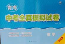 2025年青海中考全真模擬試卷數學