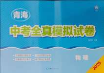 2025年青海中考全真模擬試卷物理