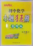 2025年初中化學小題狂做九年級下冊人教版巔峰版