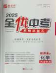 2025年全優(yōu)中考系統(tǒng)總復(fù)習(xí)化學(xué)河北專用