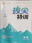 2025年拔尖特訓(xùn)九年級物理下冊蘇科版