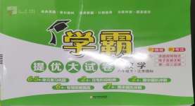2025年學霸提優大試卷六年級數學下冊蘇教版
