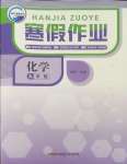 2025年寒假作業(yè)新疆青少年出版社九年級化學(xué)人教版