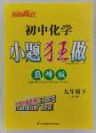 2025年初中化學(xué)小題狂做九年級下冊滬教版巔峰版