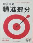 2025年鼎成中考精准提分化学广东专版